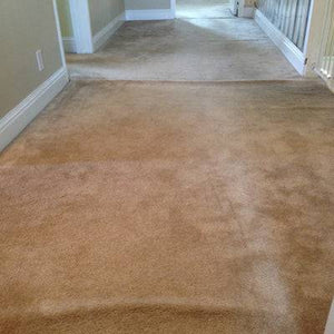 Carpet Re-stretching - Dan's Carpet Repairs