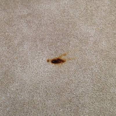 Carpet Repairs - Dan's Carpet Repairs