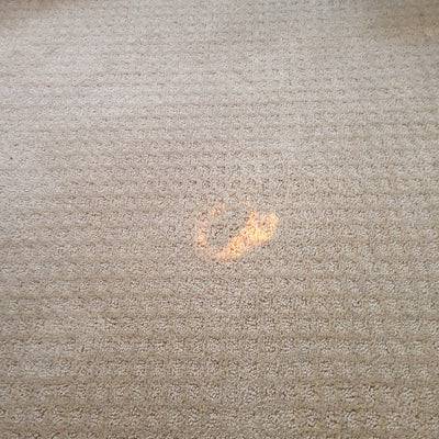 Carpet Repairs - Dan's Carpet Repairs