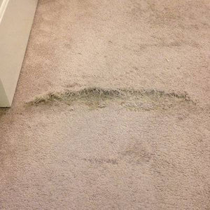 Carpet Repairs - Dan's Carpet Repairs