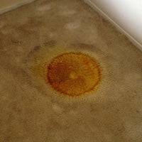 Carpet Repairs - Dan's Carpet Repairs
